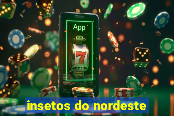 insetos do nordeste